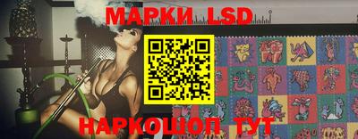 крисы Гатчина