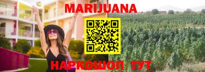 метадон Гай