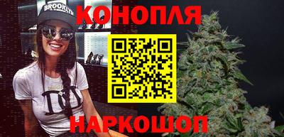 крисы Гагарин
