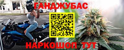 гидра Гусев