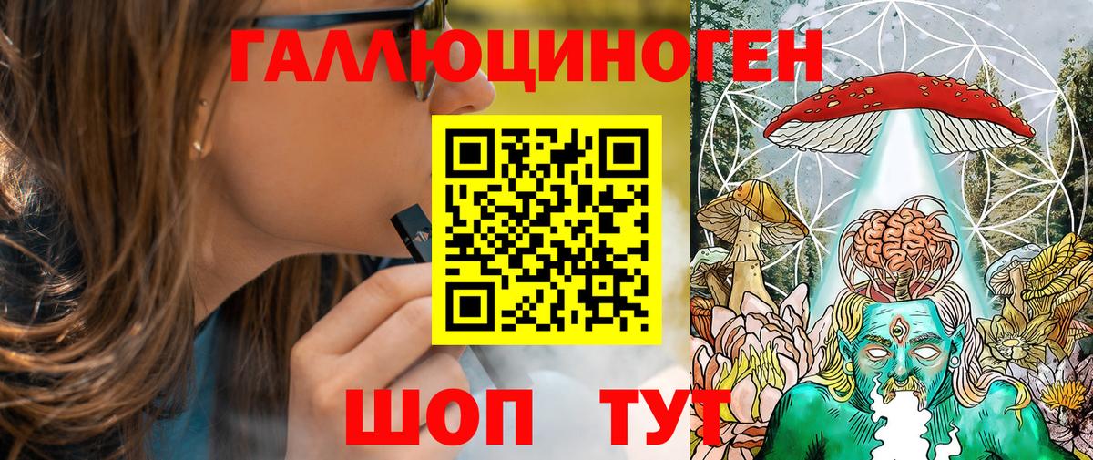 Псилоцибиновые грибы Psilocybe  Вход с VPN  Заволжье  Галлюциногенные грибы мицелий 