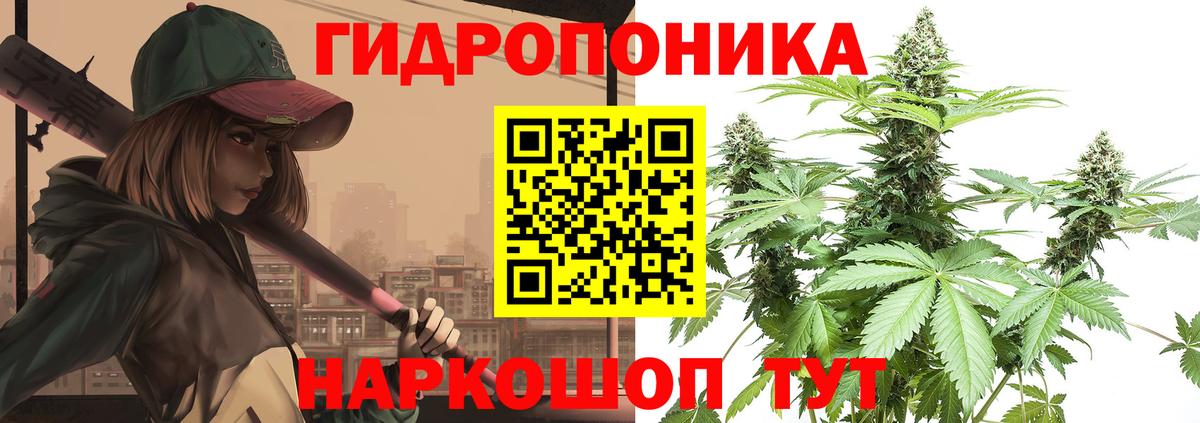 Конопля Amnesia  Вход с VPN  Заволжье  Конопля SATIVA & INDICA 
